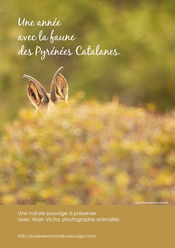 Calendrier 2021, voyage dans les Pyrénées