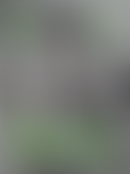 Wes Glouchkov: The No-Bullshit “Older Brother” Guiding a New Generation of Wellness