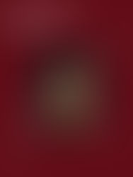 Owning the Narrative: Why Between Us Isn’t a Memoir, It’s Bella Hadid Reclaiming Control