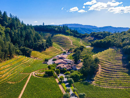 Discover California the Roxstar Way