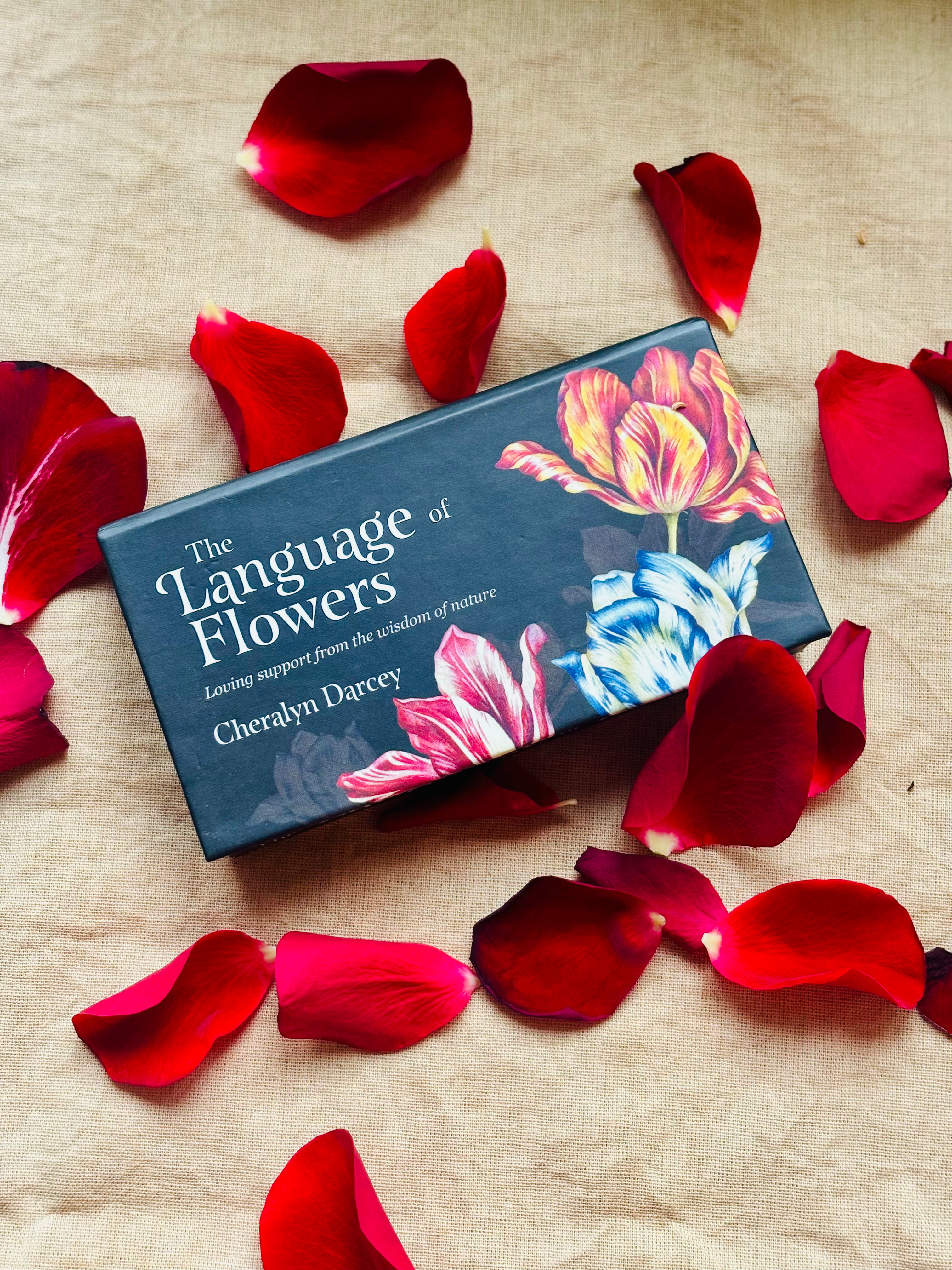 The Language of Flowers mini cards - Cheralyn Darcey