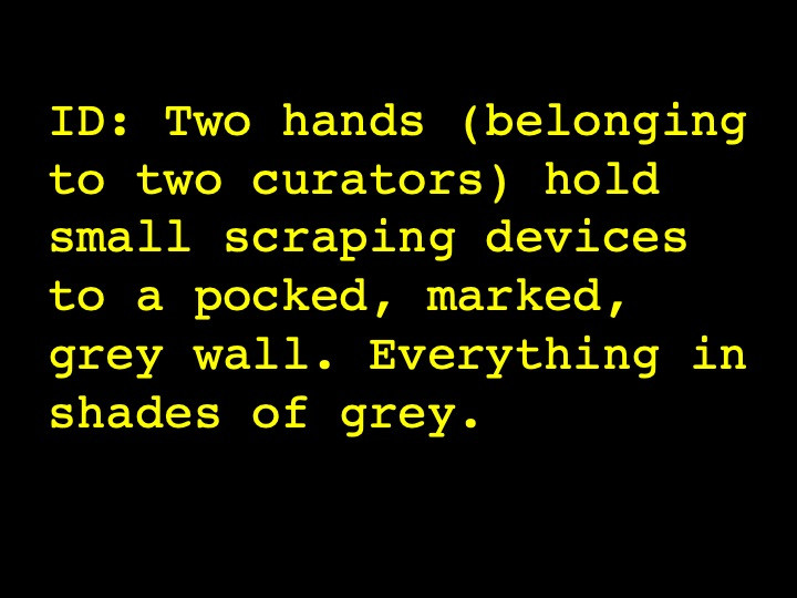 Image Description: Two hands (belonging to two curators) hold small scraping devices to a pocked, marked, grey wall. Everything in shades of grey