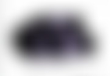 (ESSAY) IS THIS... consciousness? by India Boxall