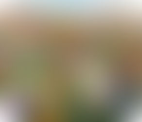 (ESSAY) 'Dead Meadow Dreamz /////Reclaiming Gaming' by Amy Grandvoinet