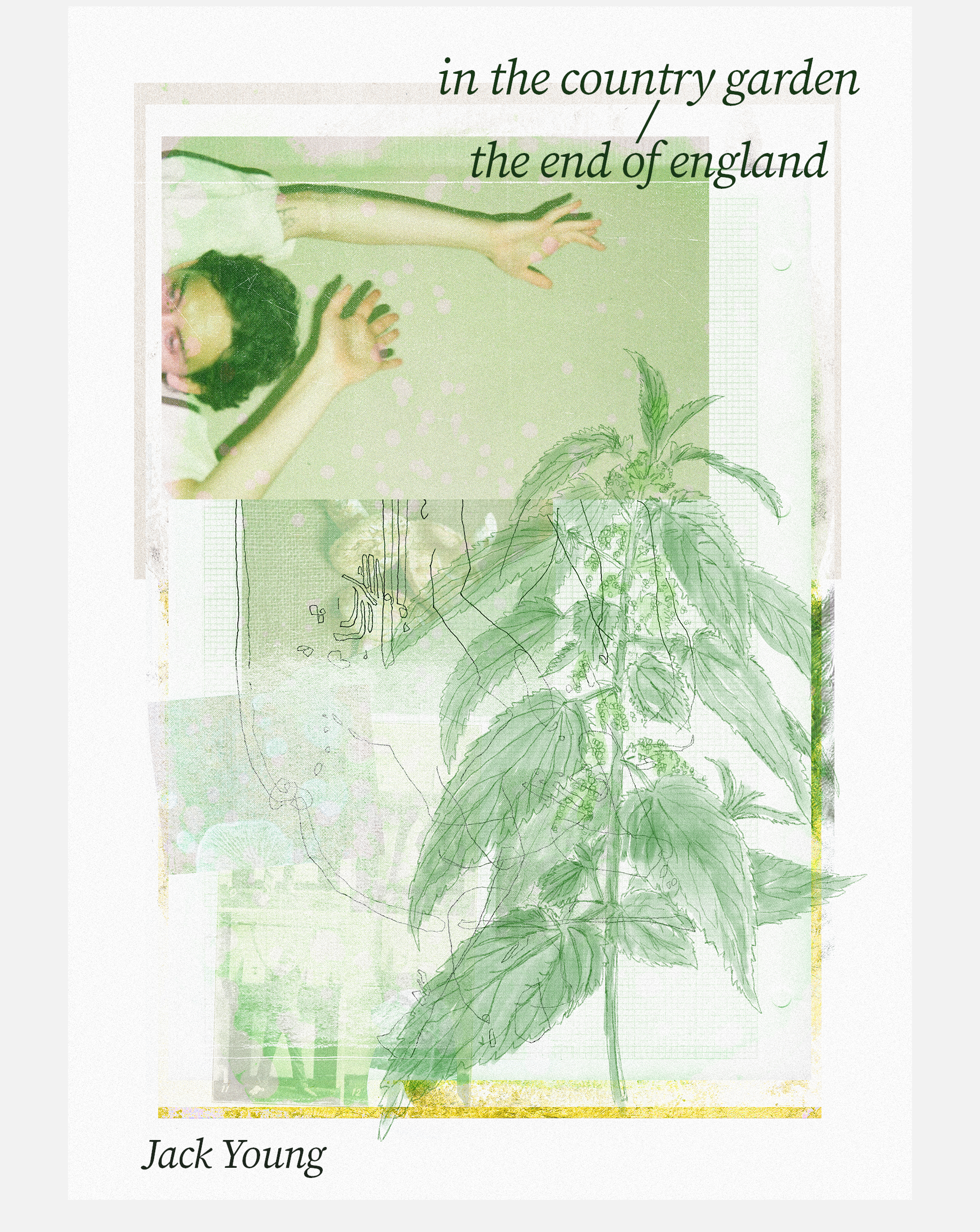 in the country garden /the end of england, Jack Young