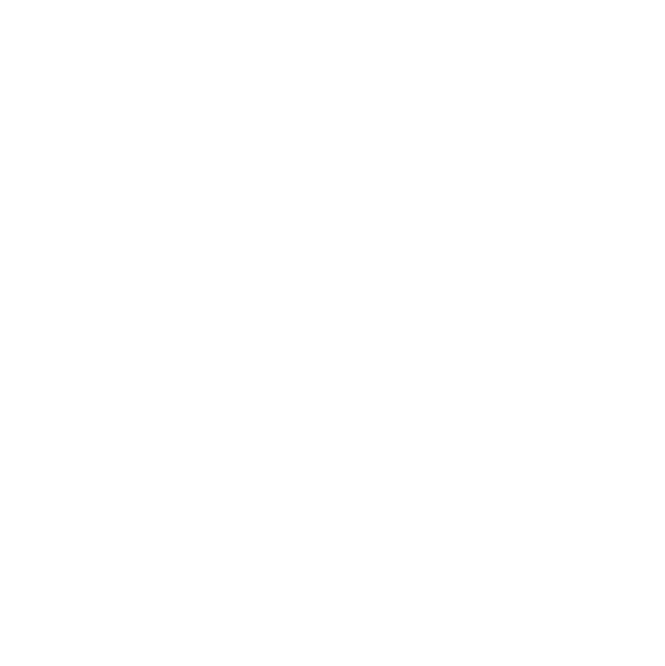 TB Logo White.png