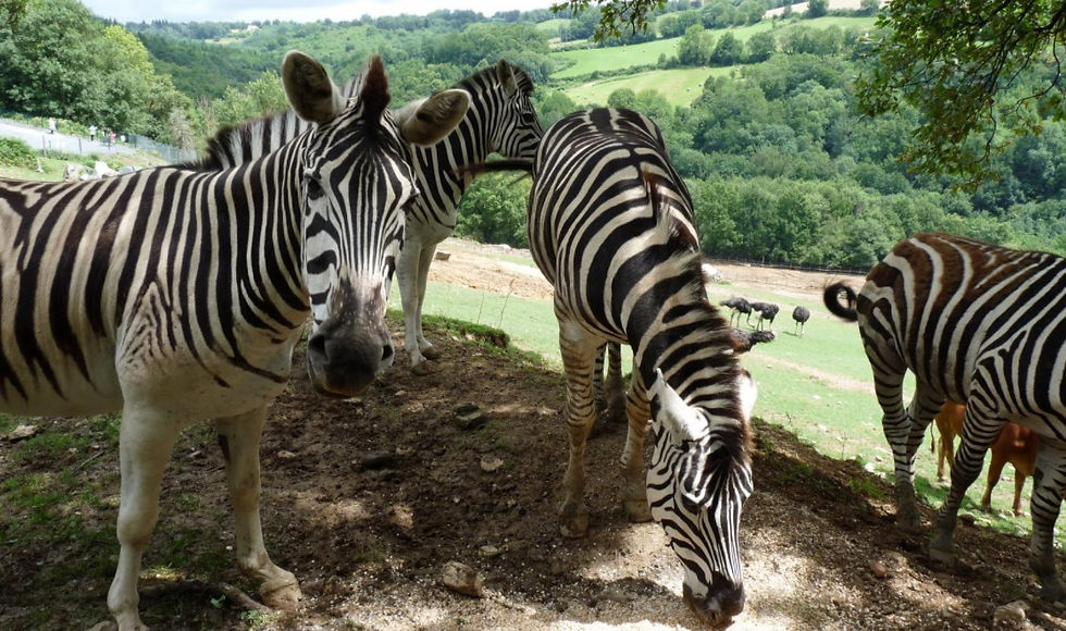 Zoo des 3 Vallées