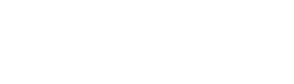 flury sports logo
