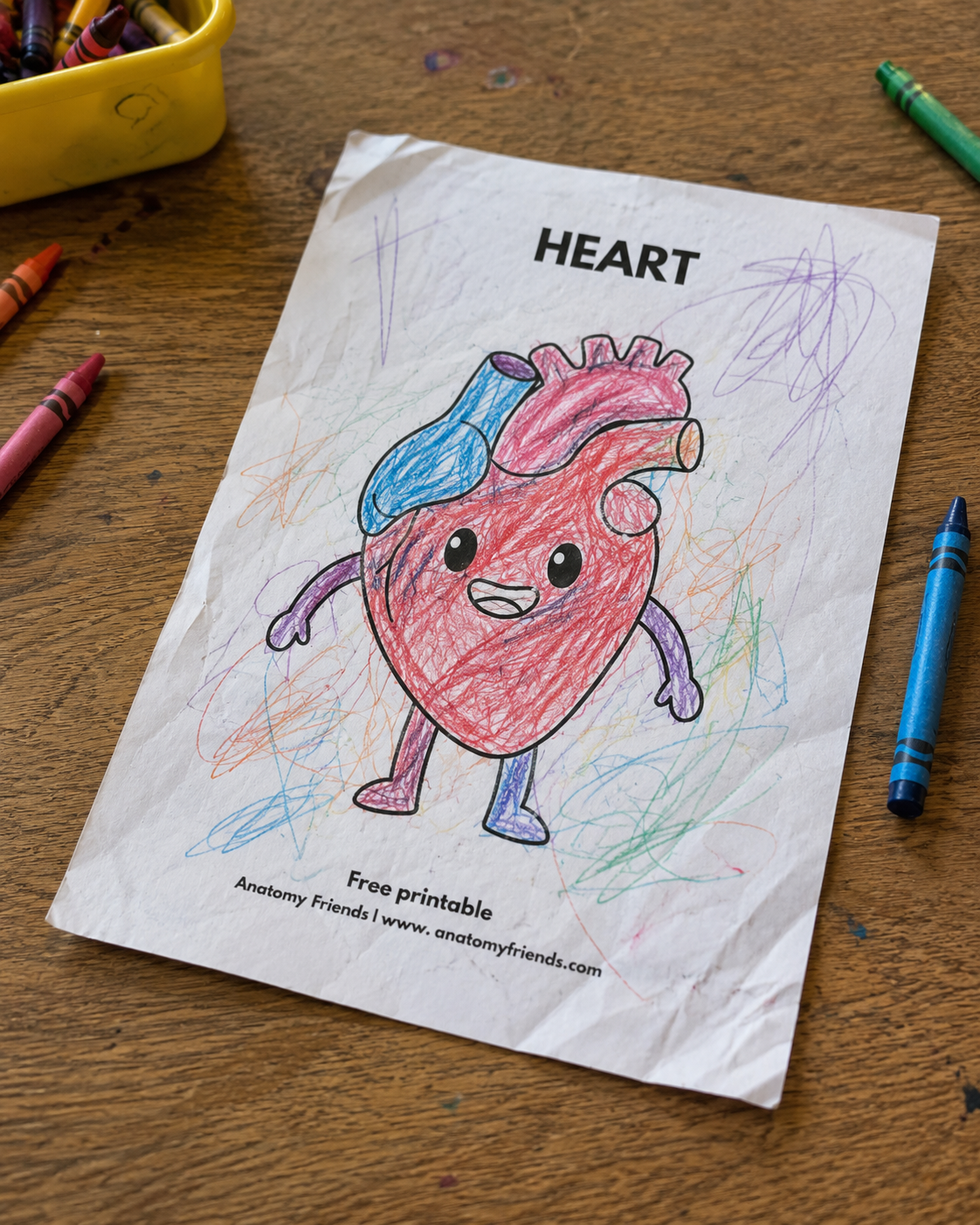 Meet Your Amazing Body Coloring Pages