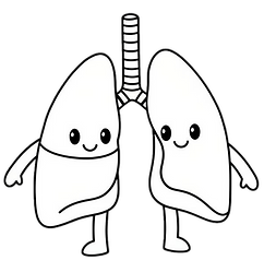 Anatomy Friends Lungs