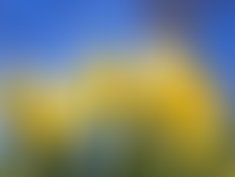 Living in Sync with the Zodiac: Your Year-Round Guide to Renewal and Growth