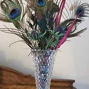 peacock.jpg