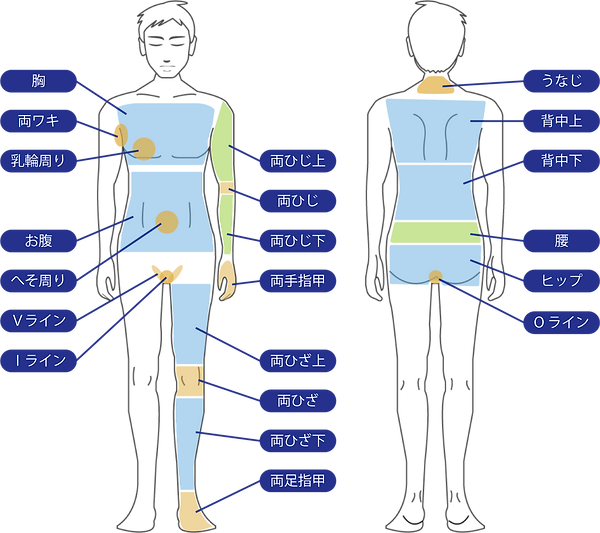 メニュー男の人 (全身)_部位説明.png
