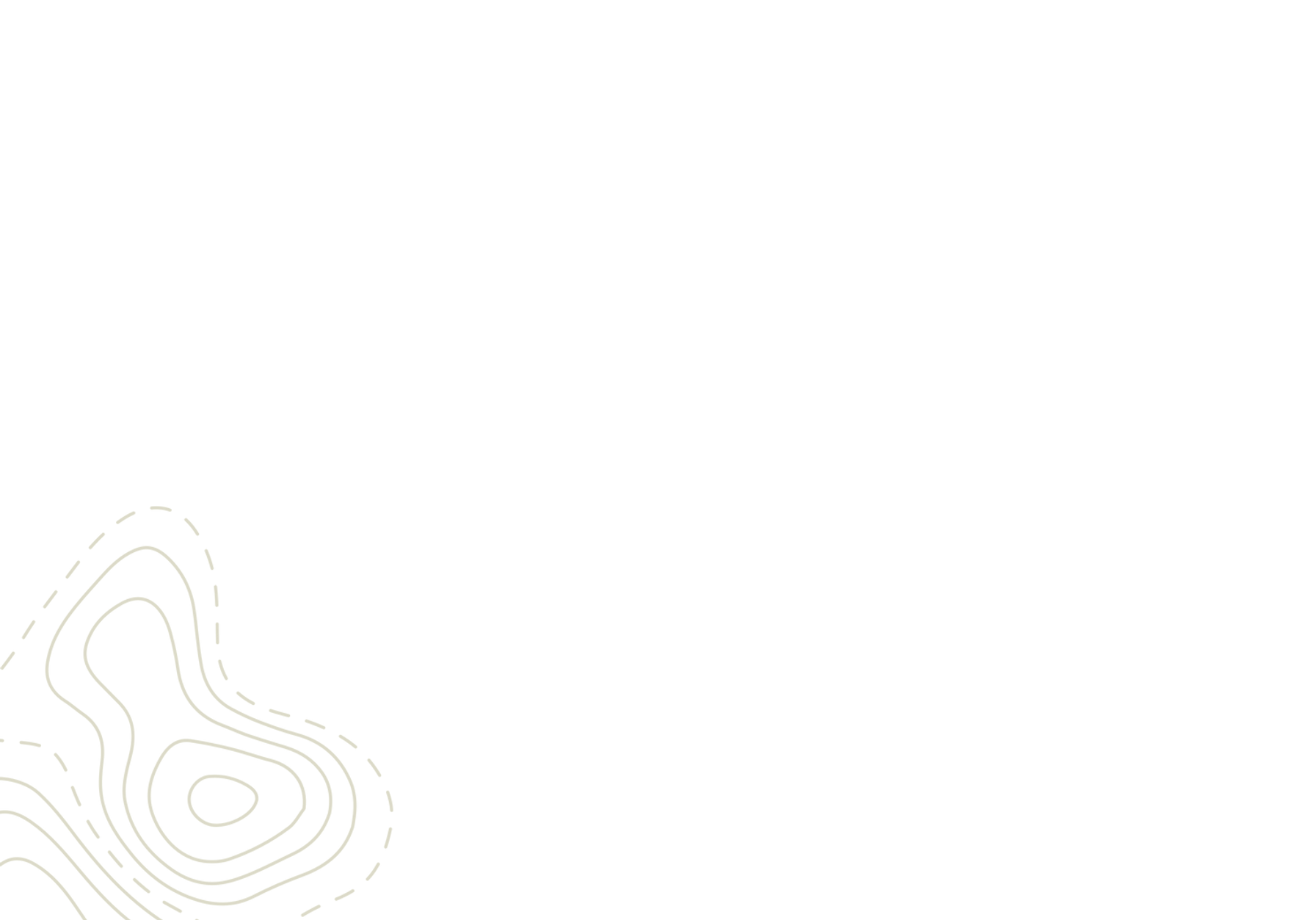 background.webp