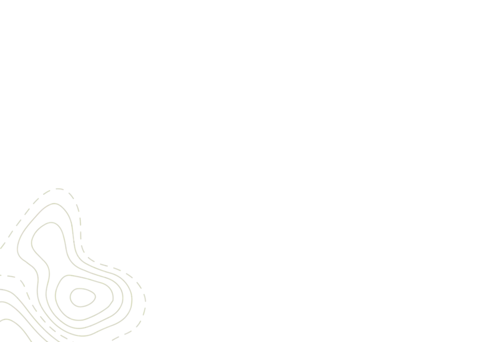 background.webp