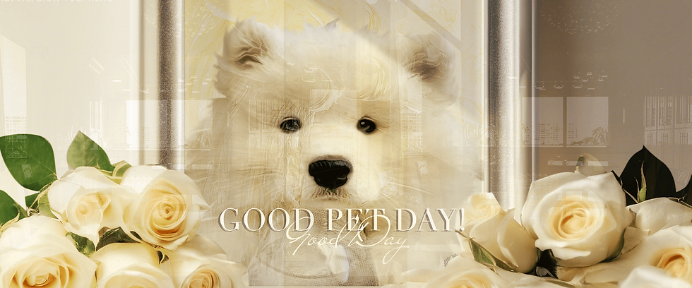 Good Day BANNER