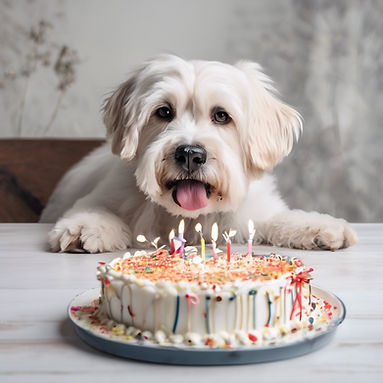 A birthday pet portrait on a white table  (1).jpg
