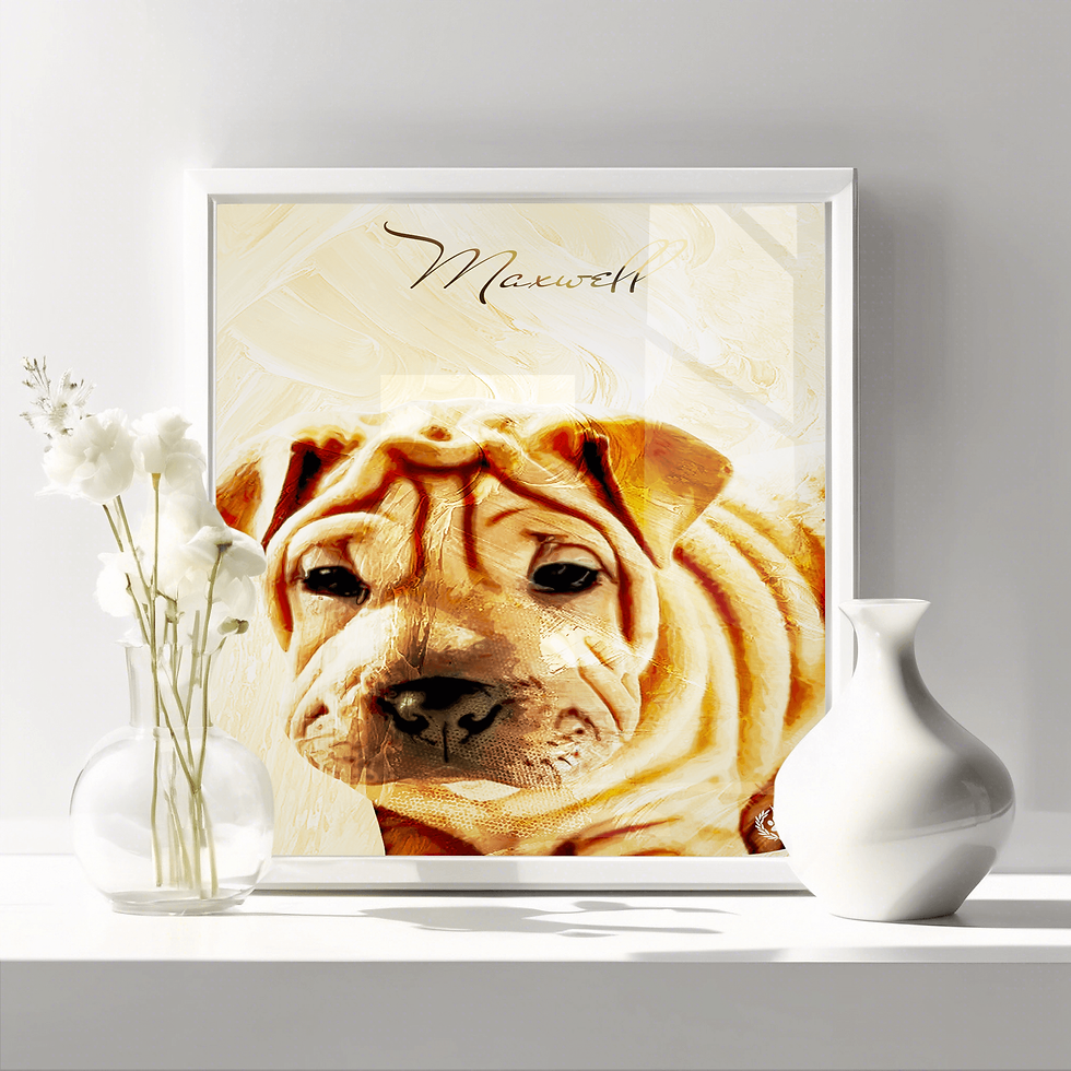 SHAR-PEI PORTRAIT