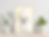 Thumbnail: Bichon Frise portrait display