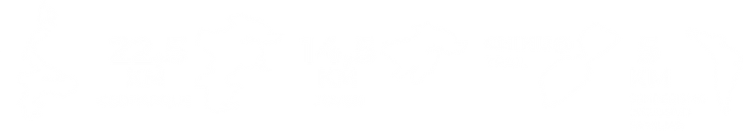 TRACKS 2026.png