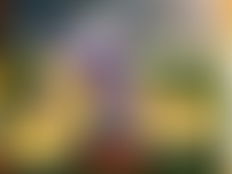 NFL Minnesota Vikings – Hey Dude Shoes