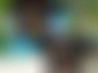 Casnafashion Lebron James shirt