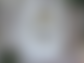 Official Zach Frazier Pittsburgh Player Silhouette shirt