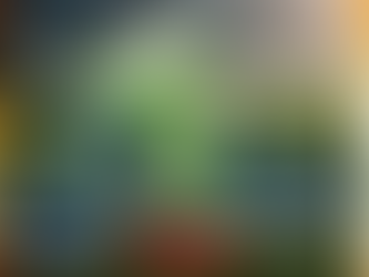 NFL Seattle Seahawks – Hey Dude Shoes