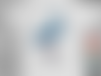 Kamala Harris Blue Flamingo Walking Madam President 2024 Lotus For Potus T shirt