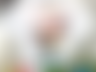 Heihei after drinking beer Budweiser I said tada shirt