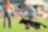 gerald & troy send out .jpg