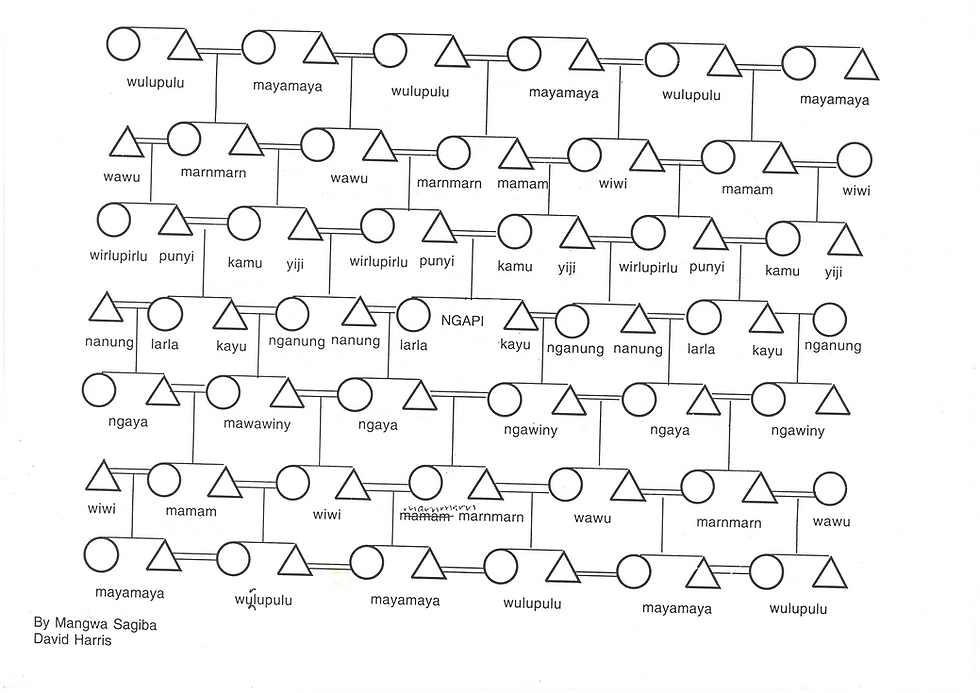 kinship diagram.png