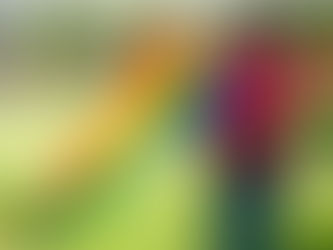 Mendoza: "El amor no discrimina, y nadie debe ser discriminado por su amor"