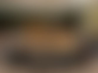 EE.UU. veta el reconocimiento del Estado Palestino en el Consejo de Seguridad de la ONU