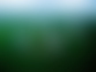 Plantean mejorar protección de reservas de carbono en Amazonía