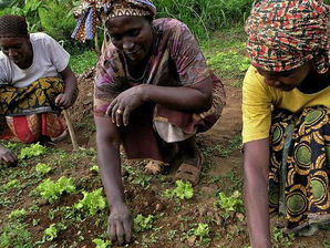 DW: ¿Quién tiene el poder sobre nuestros alimentos?