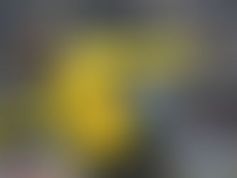 Bolt busca la 'inmortalidad'