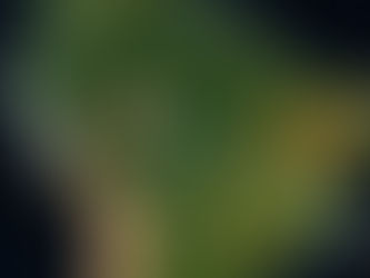 Tren bioceánico Perú-Brasil costaría 60 mil millones de dólares