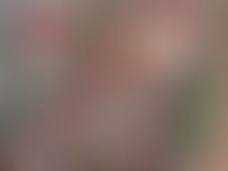 Estados Unidos se acostumbra a las guerras sin victoria y sin final