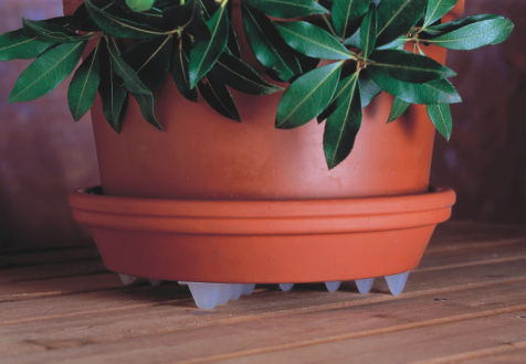 Thumbnail: Down Under Plant Stand