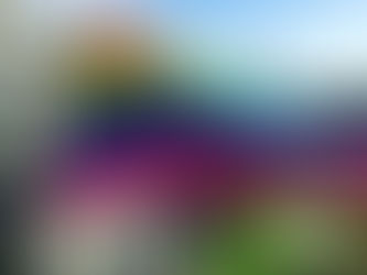 Beograd Pride će se održati 17. septembra