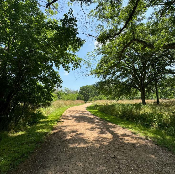 Eye-level view of Schertz's vibrant community park