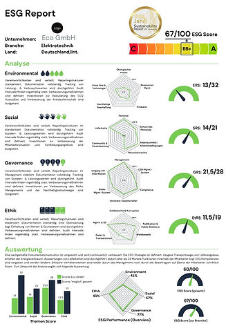 KMU ESG Report (Webseite).jpg