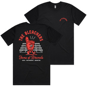 Bleacher-Cover.jpg