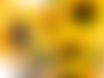 8月分の予約&お盆休みのお知らせ