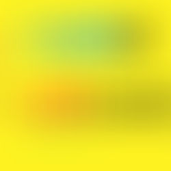 入会費が0円になりました