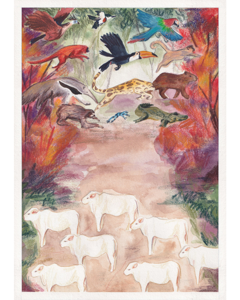 Een editorial illustratie door Kim Timmermans bij een artikel in de Groene Amsterdammer, over de ontginning van regenwoud in het Amazonegebied, waarbij inheemse dieren steeds verder worden weggedreven om plaats te maken voor rundervee.