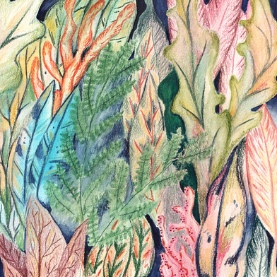 Illustratie door Kim Timmermans van een donkere cirkel met een kleurrijk bos met fantasieplanten. Onderaan staat een klein figuur dat op het punt staat het bos in te wandelen.