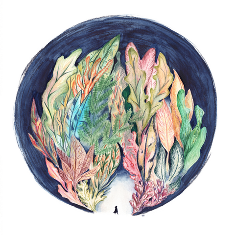 Illustratie door Kim Timmermans van een donkere cirkel met een kleurrijk bos met fantasieplanten. Onderaan staat een klein figuur dat op het punt staat het bos in te wandelen.