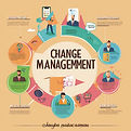 Bold Ops Consulting Change Management Services